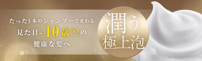 �N���A���I�[�K�j�b�N�V�����v�[���T�C�g